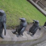 penguins penguins