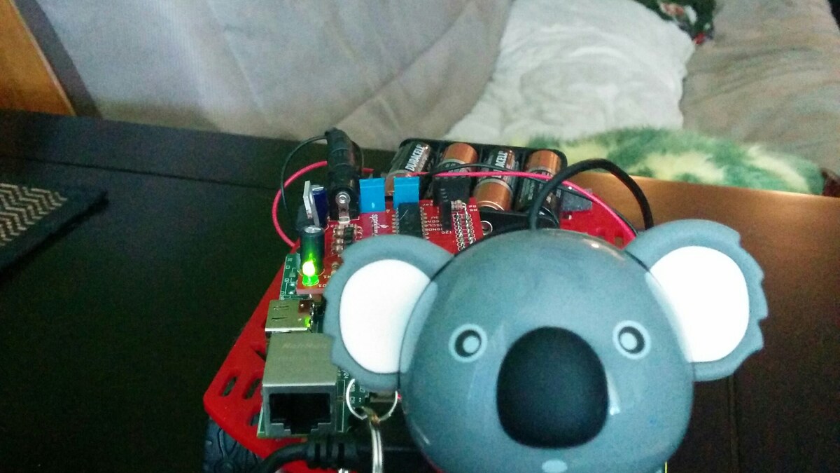 Raspberry Pi Robots
