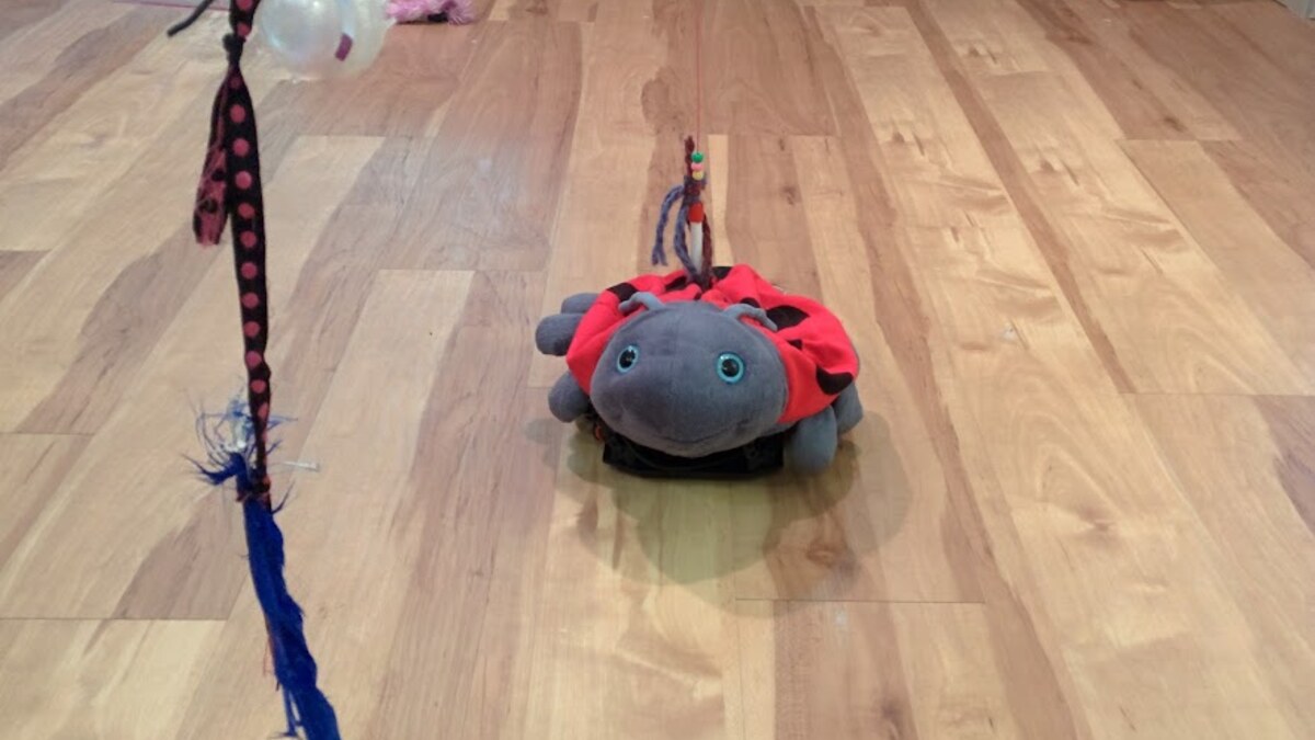 Raspberry Pi Robots gallery image